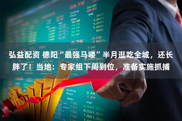 弘益配资 德阳“最强马喽”半月逛吃全城，还长胖了！当地：专家组下周到位，准备实施抓捕