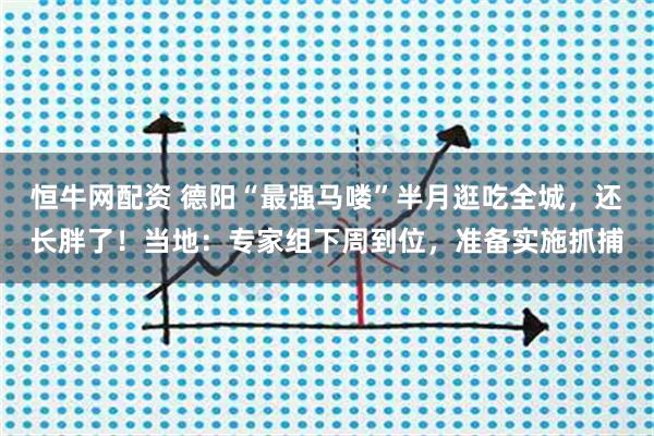 恒牛网配资 德阳“最强马喽”半月逛吃全城，还长胖了！当地：专家组下周到位，准备实施抓捕