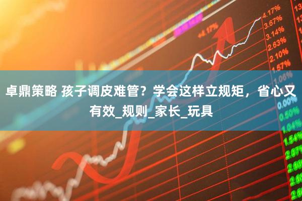卓鼎策略 孩子调皮难管？学会这样立规矩，省心又有效_规则_家长_玩具